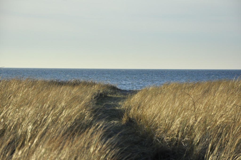 Dünen und Strandspaziergänge, Fehmarn